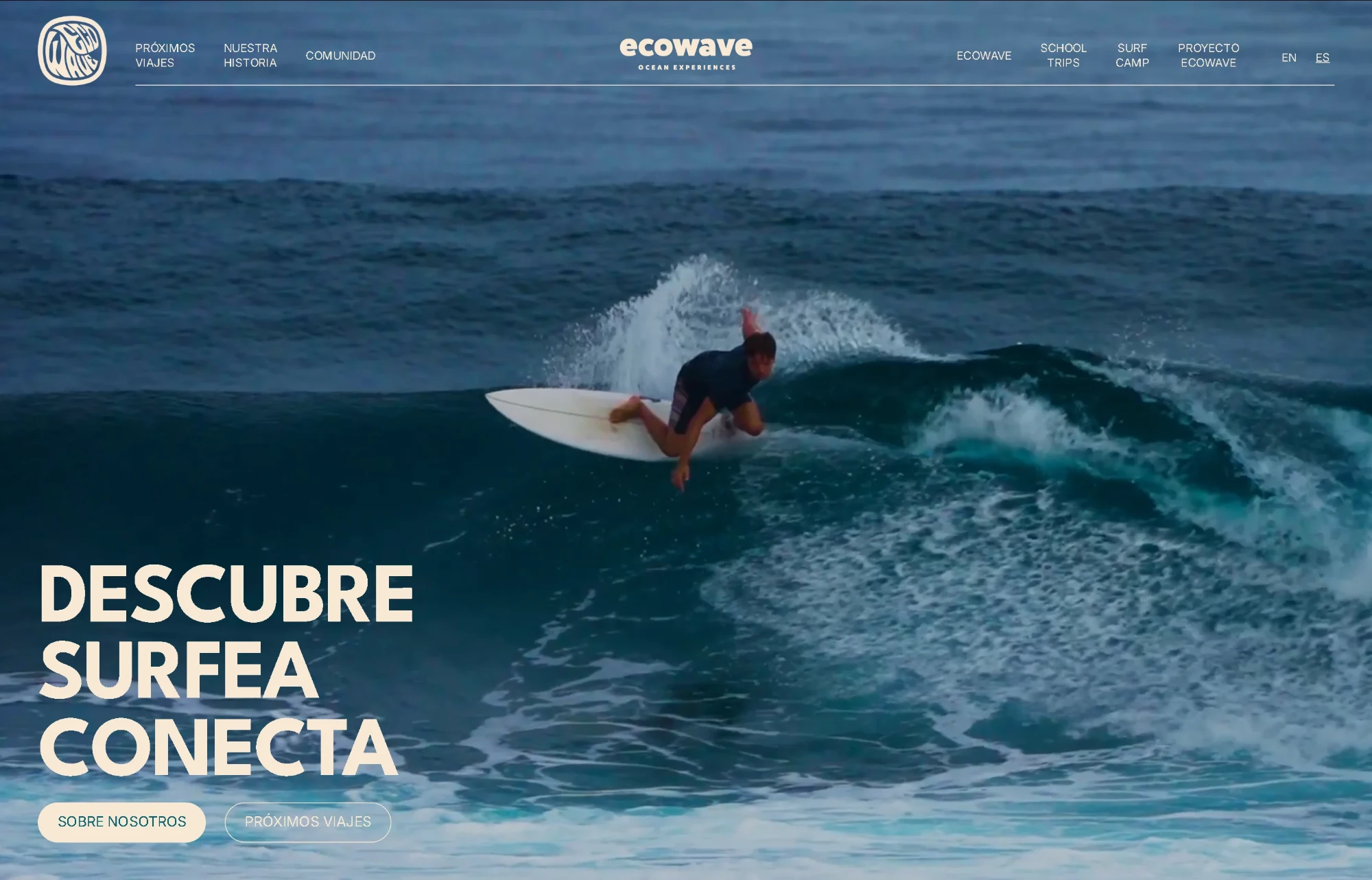 Captura de la web de Ecowave Trips